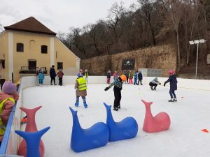 15.01.2024 – Bruslení – Album - fotografie 26