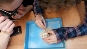 02.11.2017 – Team Teaching: pískovcová města (9.A) – Album - fotografie 8