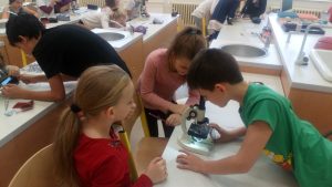 07.11.2017 – Team Teaching: vzhůru do oblak (5.C) – Album - fotografie 13