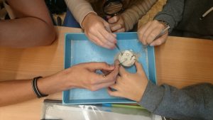 03.10.2016 – Team Teaching – pískovcová města (9.AB) – Album - fotografie 10