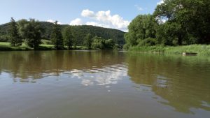 31.05.2018 – Expedice Křivoklátsko (9.B) – Album - fotografie 41