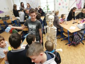 10.12.2018 – Lidské tělo – týmové učení (5.C + 8.A) – Album - fotografie 2