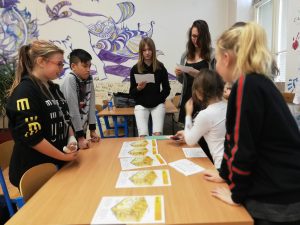 10.12.2018 – Lidské tělo – týmové učení (5.C + 8.A) – Album - fotografie 11