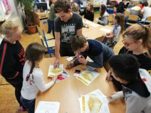 10.12.2018 – Lidské tělo – týmové učení (5.C + 8.A) – Album - fotografie 12