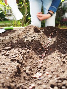 17.06.2019 – Projekt Garden Food (zeměpisný kroužek) – Album - fotografie 10