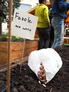 17.06.2019 – Projekt Garden Food (zeměpisný kroužek) – Album - fotografie 12