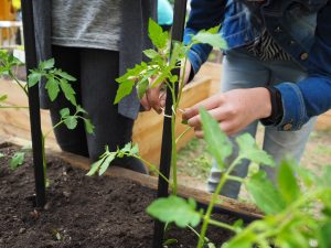 17.06.2019 – Projekt Garden Food (zeměpisný kroužek) – Album - fotografie 13
