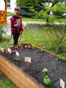 17.06.2019 – Projekt Garden Food (zeměpisný kroužek) – Album - fotografie 15