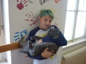 18.06.2015 – PET LESSON (hodina přírodovědy 5.B) – Album - fotografie 2