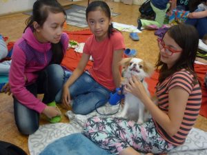 18.06.2015 – PET LESSON (hodina přírodovědy 5.B) – Album - fotografie 3