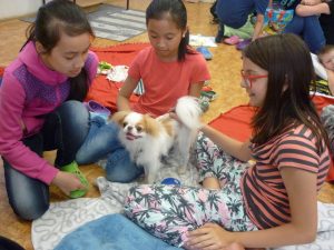 18.06.2015 – PET LESSON (hodina přírodovědy 5.B) – Album - fotografie 4