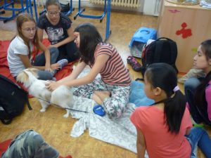 18.06.2015 – PET LESSON (hodina přírodovědy 5.B) – Album - fotografie 6