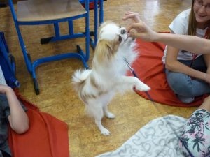 18.06.2015 – PET LESSON (hodina přírodovědy 5.B) – Album - fotografie 13