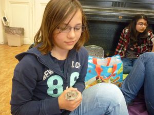 18.06.2015 – PET LESSON (hodina přírodovědy 5.B) – Album - fotografie 14