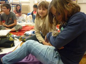 18.06.2015 – PET LESSON (hodina přírodovědy 5.B) – Album - fotografie 16