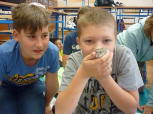 18.06.2015 – PET LESSON (hodina přírodovědy 5.B) – Album - fotografie 17