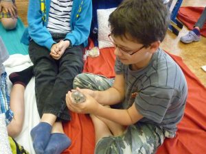 18.06.2015 – PET LESSON (hodina přírodovědy 5.B) – Album - fotografie 18