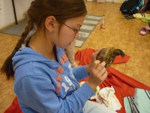 18.06.2015 – PET LESSON (hodina přírodovědy 5.B) – Album - fotografie 22