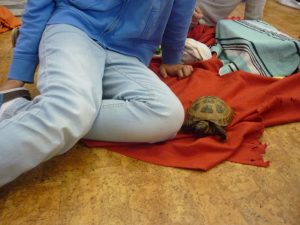 18.06.2015 – PET LESSON (hodina přírodovědy 5.B) – Album - fotografie 24