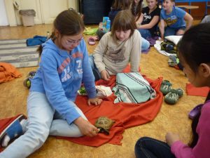 18.06.2015 – PET LESSON (hodina přírodovědy 5.B) – Album - fotografie 25