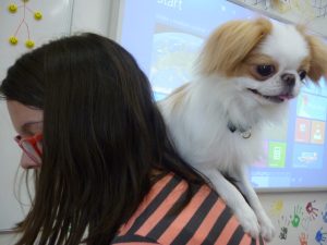 18.06.2015 – PET LESSON (hodina přírodovědy 5.B) – Album - fotografie 29