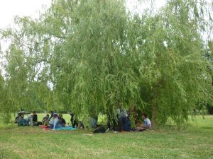24.06.2015 – Závěrečný piknik ve Stromovce (7.B + 8.B) – Album - fotografie 16