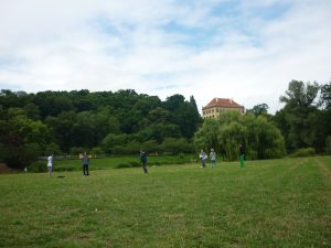 24.06.2015 – Závěrečný piknik ve Stromovce (7.B + 8.B) – Album - fotografie 19
