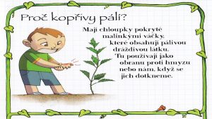 22.09.2017 – Proč kopřivy pálí – hodina přírodovědy (5.C) – Album - fotografie 12