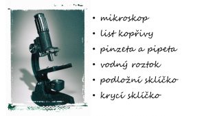 22.09.2017 – Proč kopřivy pálí – hodina přírodovědy (5.C) – Album - fotografie 13