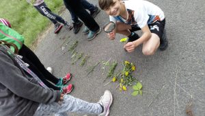 30.04.2018 – Škola v přírodě JEDLOVÁ (5.A + 5.C) – Album - fotografie 24