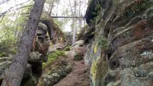 30.04.2018 – Škola v přírodě JEDLOVÁ (5.A + 5.C) – Album - fotografie 41
