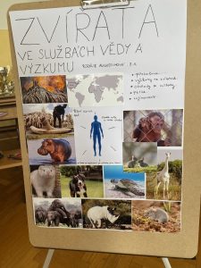 06.06.2023 – Prezentace posterů žáků 9. ročníku – Album - fotografie 19